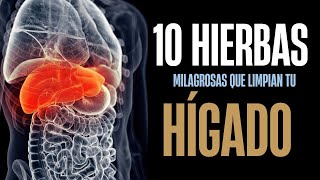 💚 10 Hierbas MILAGROSAS para Limpiar tu HÍGADO Naturalmente [upl. by Eisus]