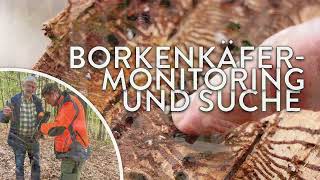 Borkenkäfermonitoring und Suche  Wildnis schafft Wissen  Spezial  Podcast [upl. by Manouch]