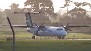 Palmerston North Airport  Air New Zealand Bombardier Q300 ZKNEZ Landing RWY07 [upl. by Berlyn535]