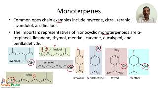 Terpenes Classification and Biosynthetic Pathways [upl. by Parhe337]