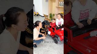 母老虎这招真是以毒攻毒啊！ 一坨 罗威纳 罗威纳护卫犬 rottweiler pets funny 萌宠 向威 向威和一坨 [upl. by Agnimod296]