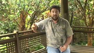 Introduction The Culture of Ethnobotany [upl. by Notwal]