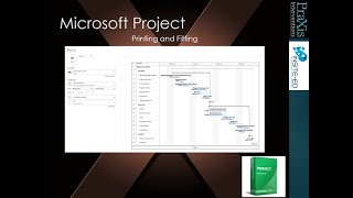 MSP fit to print PDF [upl. by Namzzaj325]