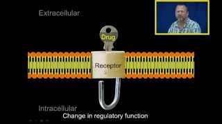 Introduction to Pharmacology [upl. by Assert]