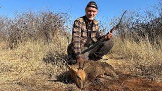 Duiker with a longbow  Tales From the Willows  Sofala Safaris  Traditional Bowhunting [upl. by Auberbach]