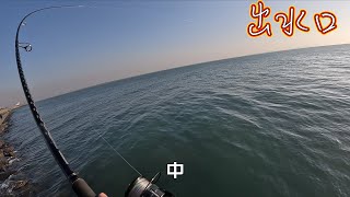 就靠兩個路亞釣了超多魚！釣到天黑來還不肯回家！！Taiwan fishing [upl. by Colleen586]