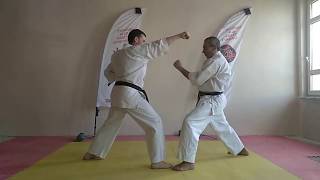 Basic Karate Blocks  Part 1 [upl. by Teak]