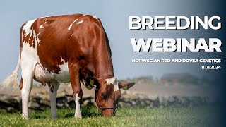 Breeding webinar with Dovea Genetics [upl. by Bambie907]