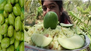 COOKING INSTANT MANGO RICE  VILLAGE STYLE  MAVINAKAYI CHITRANNA  HEALTHY VILLAGE FOOD [upl. by Holman609]