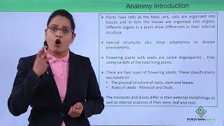 Class10th – Introduction  Anatomy of Flowering Plant Hindi  Tutorials Point [upl. by Hershel]