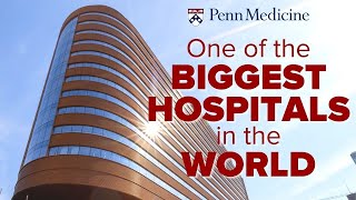 One of the Biggest Hospitals in the World Did You Know [upl. by Ahsenrat]