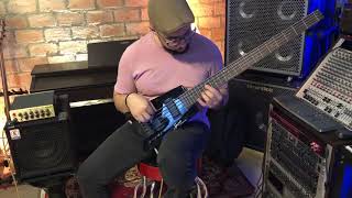 Steinberger Spirit XT25 Demo [upl. by Washburn]