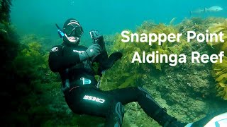 Snapper Point Aldinga Reef  Adelaide Freedive Tribe [upl. by Ehpotsirhc]