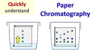 Paper Chromatography [upl. by Gerstner413]