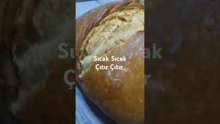 Sıcak Sıcak Çıtır Çıtır bread cake food yummy tarif yemektarifleri chocolate asker baking [upl. by Saffren]