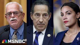 Democrats shuffle leadership in prep for Trump fight Raskin takes mantle of democratic lodestar [upl. by Sherlock]