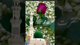 Metha Metha Hai Mera Muhammad ka Naam shorts viralshorts islamicshorts [upl. by Itirp]