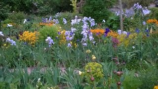 Monets Garden at Giverny 1452015 [upl. by Kaehpos631]