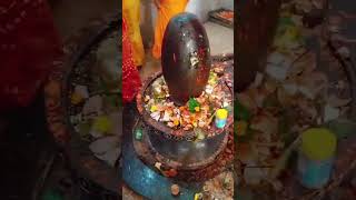 Mamo mamo Sankara song music bhakti song harharmahadev [upl. by Ddej]