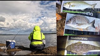 Land based fishing Lake Macquarie [upl. by Hitt]