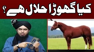 Kya Ghorey ka gosht Horse meat Halal hai Engineer Muhammed Ali Mirza [upl. by Ynoffit]