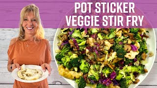 Potsticker Vegetable Stir Fry  Kathys Vegan Kitchen [upl. by Ynahirb]