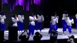 Zeta Phi Beta Sorority INC Gamma Gamma Chapter  NCCU Homecoming Step Show 2013 [upl. by Wixted438]