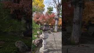 Zentokuji Temple Ashikaga Tochigi japantouristguide Ashikaga japantravelguide autumntourguide [upl. by Adnuhsar144]