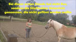 Haflinger Nero amp ich kreuzen Klingen VOX Pferdeprofi Sandra Schneider ist gescheitert  7 Spiele [upl. by Steiner756]