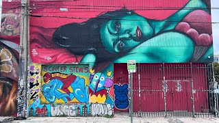 Miami mainland Winwood Art District [upl. by Htidirrem]