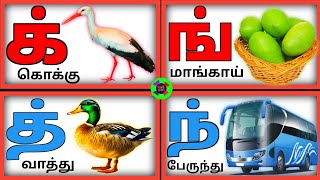 Vallinam Mellinam Idaiyinam MeiEzhuthukkalமெய் எழுத்துக்கள்வல்லினம் மெல்லினம் இடையினம் [upl. by Ebby409]