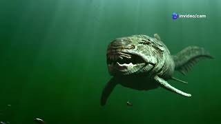 Top 10 scariest animals in the world😱😱😳😳 [upl. by Eejan]