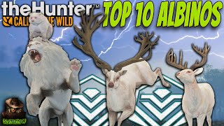 Top 10 CRAZIEST Albino Rares I Have Found In My 6000 Hours Call of the wild [upl. by Synn420]