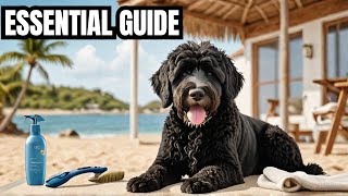 The Ultimate Guide to Portuguese Water Dog [upl. by Irrehc]