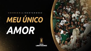 REACT PALMEIRAS 2X1 FLAMENGO  PALMEIRAS TRICAMPEÃO [upl. by Onibla]