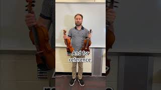 How to size a violin shorts [upl. by Annaes791]