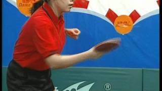 Excellent World Champions Teach You How To Play Table Tennis 16DVDs [upl. by Carine978]