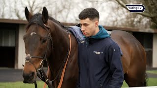 Nicky Henderson amp Harry Fry gallop morning ahead of the Cheltenham Festival [upl. by Codie50]