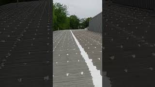 The Best way to stop leaks on a Metal Roof siliconeroofsystemscom [upl. by Novahs]