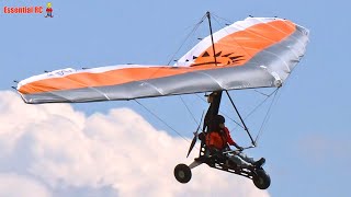 CEFICS RC Hang Gliders and Paragliders  ProWing Show 2024 [upl. by Evin]