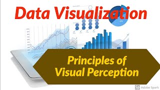 Essential principles of data visualization  Fundamentals of Visualization  Best Practices [upl. by Ojiram802]