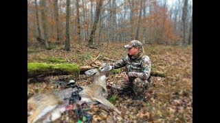 Pennsylvania 2018 Archery Season Self Filmed Public Land Buck  Allegheny National Forest [upl. by Gleda]