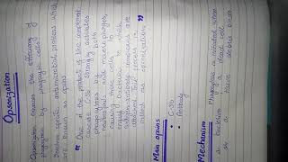 Opsonization opsinsphagocytosis [upl. by Nessy554]