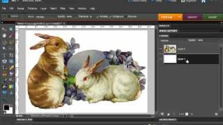 Photoshop Elements  Remove the background from clipart [upl. by Nivra]