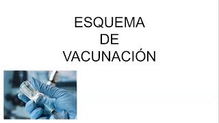 ESQUEMA DE VACUNACION PT 1 [upl. by Stefanac]