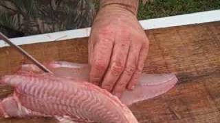 Skinning and Fileting a Catfish [upl. by Ecnerolf]