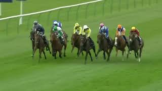 2024 UK NEWMARKET 2000 Guineas [upl. by Aissela]