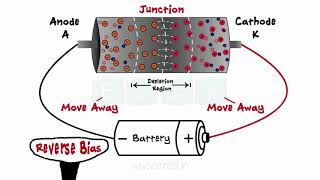 Diodes  What Are Diodes  PN Junction  Forward Bias  Reverse Bias  Zener Diodes [upl. by Yerkovich]