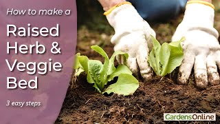 Making a Raised Herb and Vegetable Garden [upl. by Ahsias825]