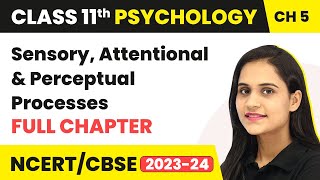 Sensory Attentional and Perceptual Processes  Full Chapter Explanation  Class 11 Psychology Ch 5 [upl. by Ajiak]